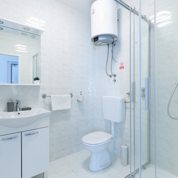 Bathroom / WC, Villa DaMa, Villa DaMa – Apartments for Rent near Opatija, Croatia Opatija