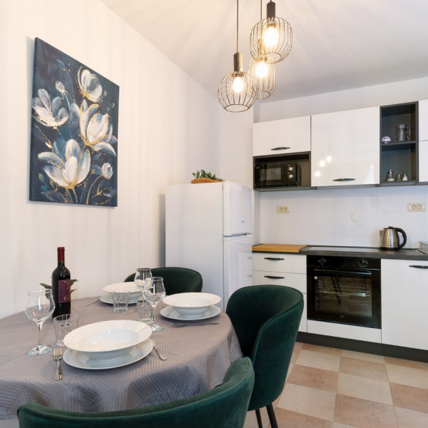 Kitchen, Villa DaMa, Villa DaMa – Apartments for Rent near Opatija, Croatia Opatija