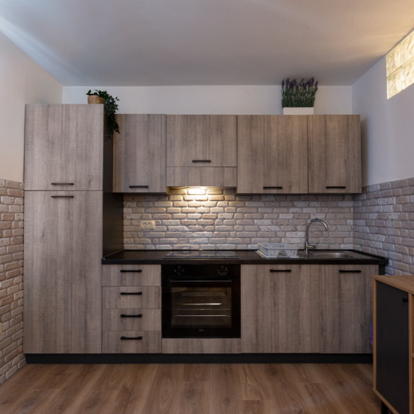 Kitchen, Villa DaMa, Villa DaMa – Apartments for Rent near Opatija, Croatia Opatija