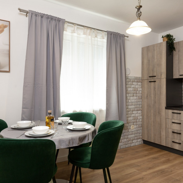 Kitchen, Villa DaMa, Villa DaMa – Apartments for Rent near Opatija, Croatia Opatija