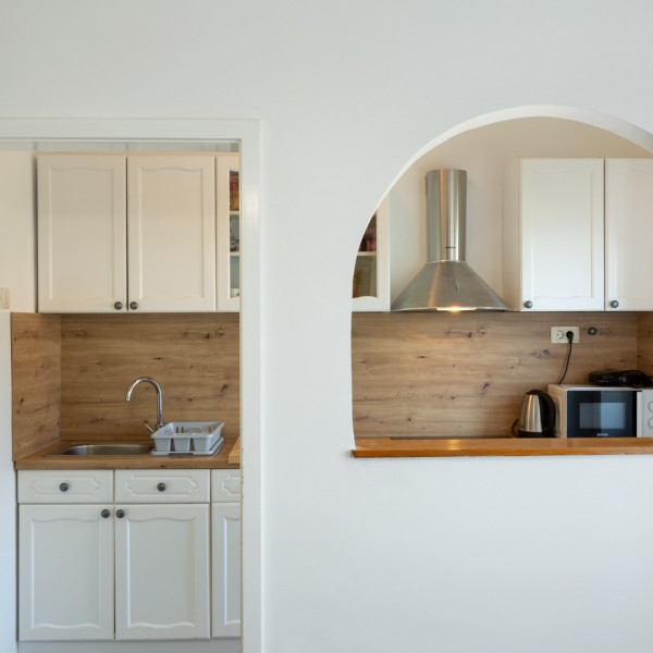 Kitchen, Villa DaMa, Villa DaMa – Apartments for Rent near Opatija, Croatia Opatija