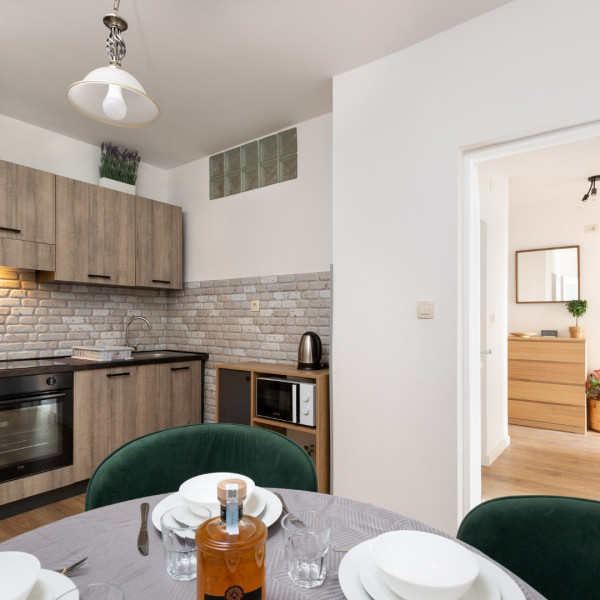 Kitchen, Villa DaMa, Villa DaMa – Apartments for Rent near Opatija, Croatia Opatija